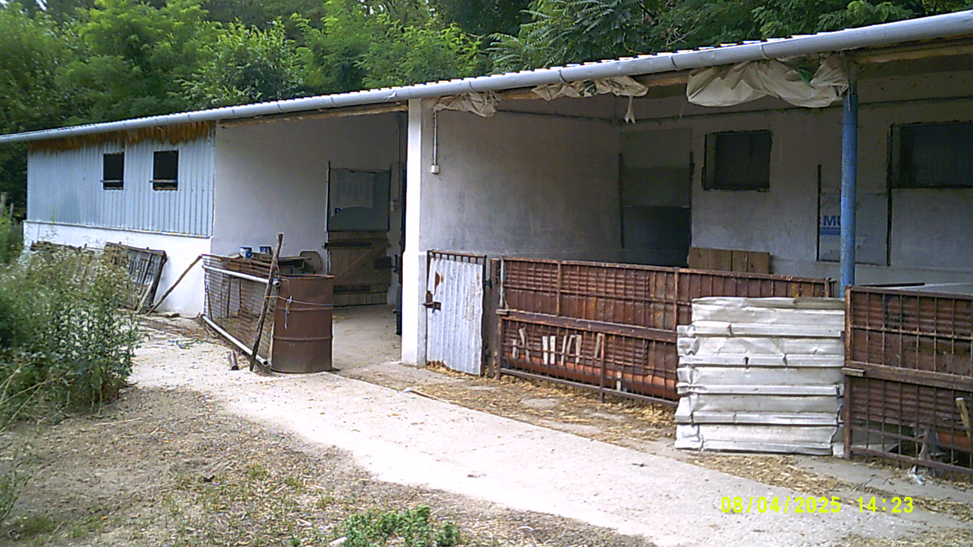 Jánoshalmán sertésnevelő telep és szántó területek eladók